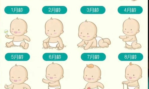 天津格林国际幼儿园学费-玉翠功效网-分享建水共享电单车，天津格林国际幼儿园学费知识库